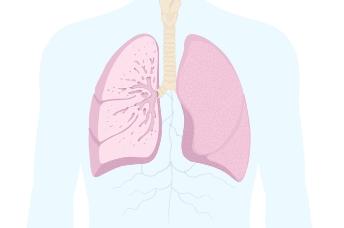 Lung Cancer